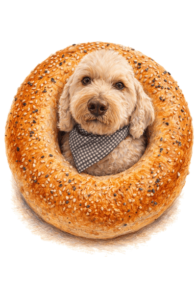 Sadie's Bagels logo